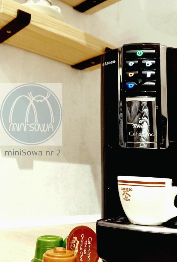 Апартаменты Minisowa Едлина-Здруй Экстерьер фото