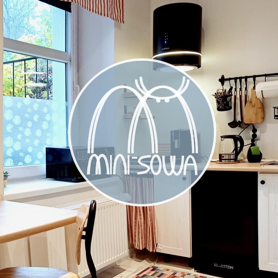 Апартаменты Minisowa Едлина-Здруй Экстерьер фото